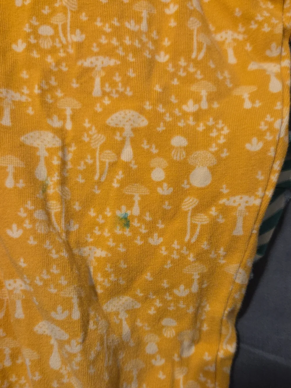 Matilda Jane Girls' Teal Floral Swing Top and Mustard Leggings Set
